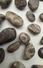 Lot of tiny polished Petoskey/Charlevoix stones and fossils, great for crafts!
