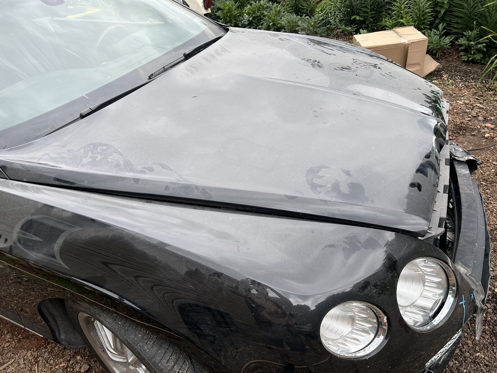 2012 Bentley Continental GTC Hood