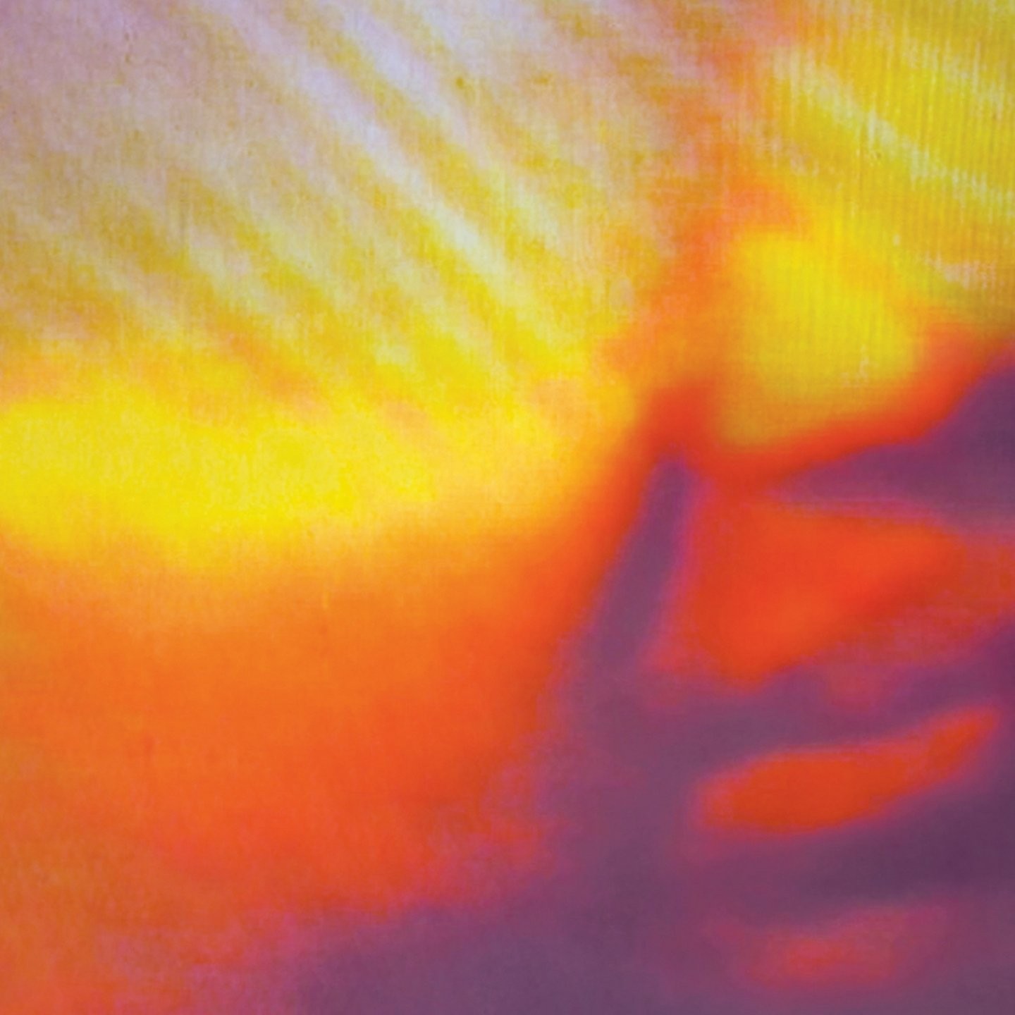 Узоры на ВИНИЛЕ] (Винил) (ИМПОРТ ИЗ Великобритании)