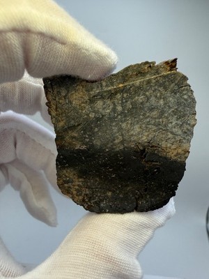 NWA 17912 H6 Melt Breccia Meteorite 39.6 gram End w/ large Melt Veins & Crust