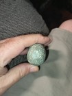 Authentic Pennsylvania Green Granite Hardstone Celt Indian Arrowhead Artifact — photo 6