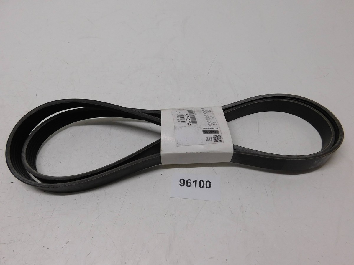 miiii V-Ribbed Belt 1700Mm Original For Peugeot 206 306 307 5750Ya | eBay
