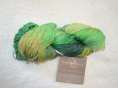 ARAUCANIA HUASCO -100% Extra Fine Merino - 454 yards --Color #04 AVADA KEDAVRA