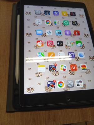 Apple iPad 9. Gen 64GB, Wi-Fi, 10,2 Zoll - Space Grau