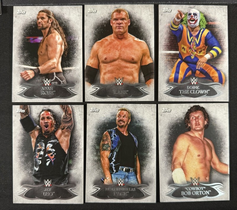 2015 Topps Undisputed WWE Lot - Kane, Rose (RC), The Clown, Uso, Orton, Page (6)
