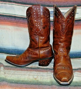 ariat b