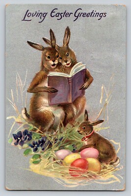 c1910 Raphael Tuck Fantasy Rabbits Reading Book Eggs Baby  Easter P507A 142