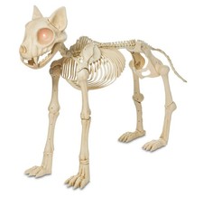 LARGE Animated Skeleton Cat with Light up Eyes, 4Ft Height, Halloween