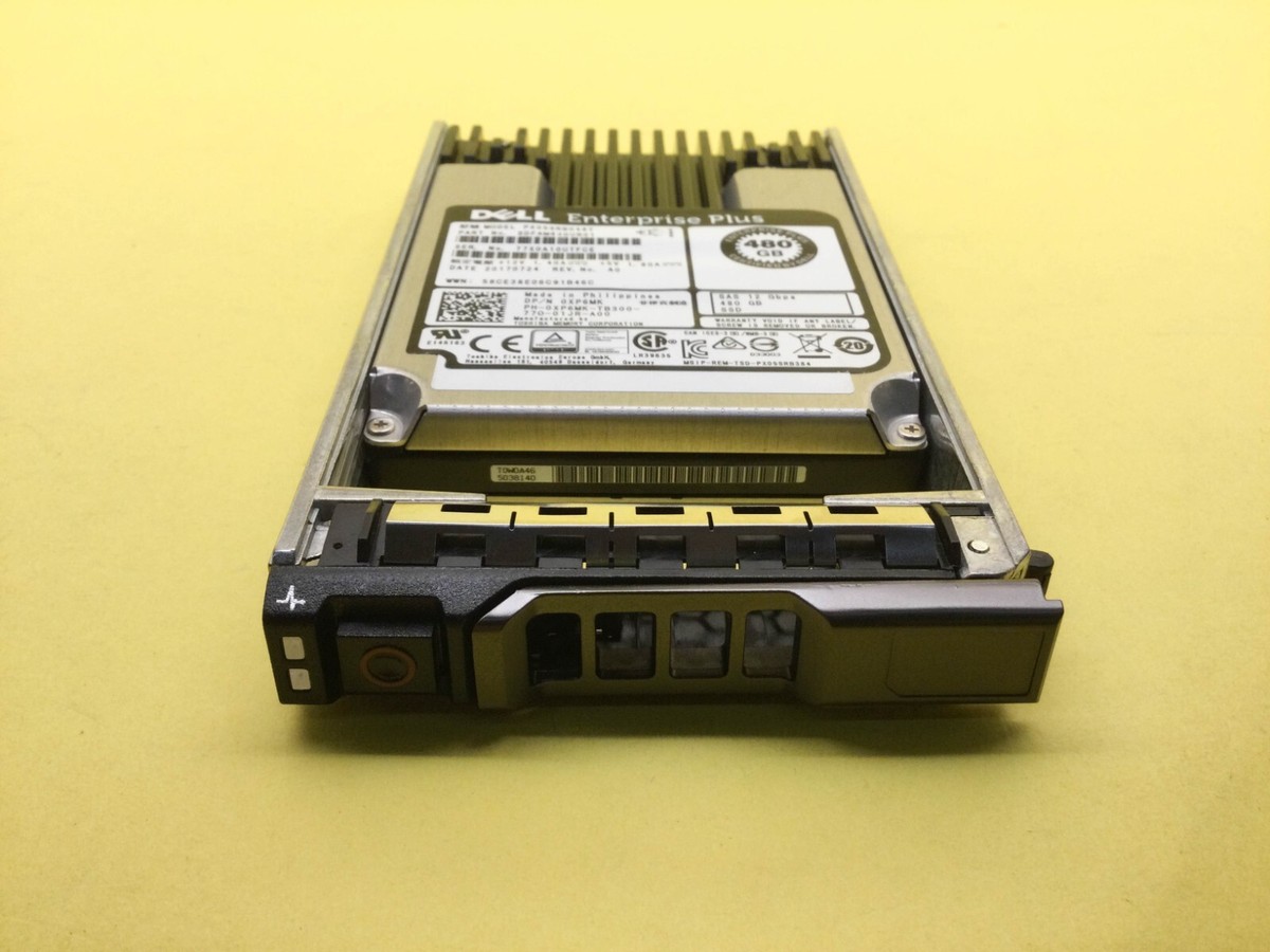 XP6MK Dell 480GB SAS 12Gb/s Read Intensive 2.5'' SSD