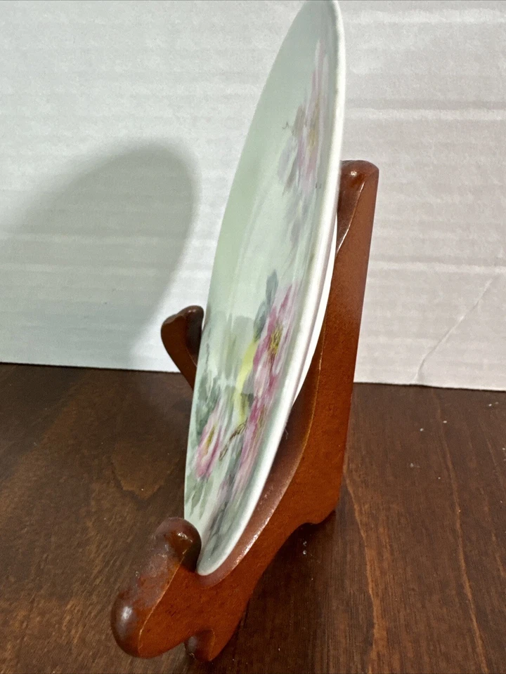 RARO Antiguo IT UNO "Favorito" Baviera 4.5 En Plato Flores No. 171 principios de 1900 Foto 3 de 4