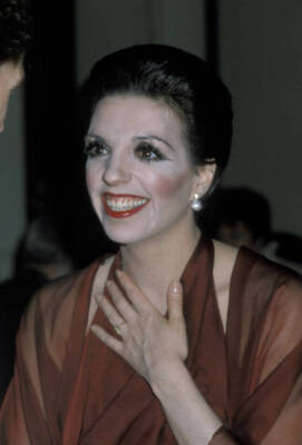 Liza Minnelli at Martha Graham Benefit at Metropolitan Opera H - 1978 Photo 4