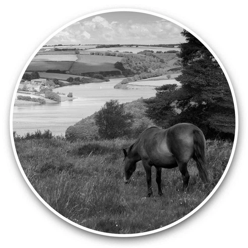2 x Vinyl Stickers 20cm (bw) - Wimbleball Lake Exmoor Pony  #39067
