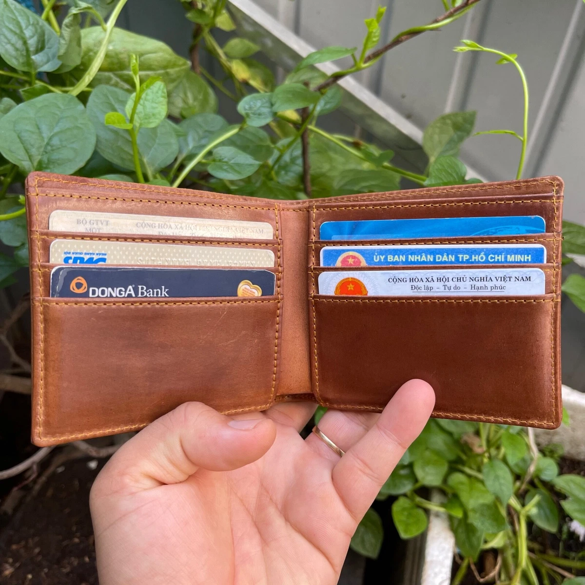 Shell Cordovan Genuine Leather Skin Men's Bifold Wallet Card