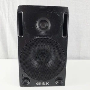GENELEC ACTIVE MONITOR 1029A 2-way Powered Studio Monitors Tested