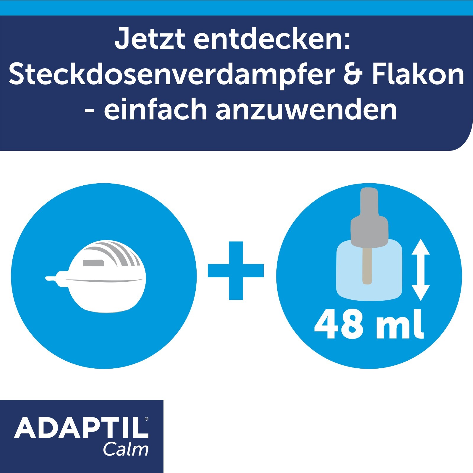 Bild 6 von 11