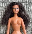 VINTAGE 1976 IDEAL TUESDAY TAYLOR SWIVEL TWO TONE HAIR