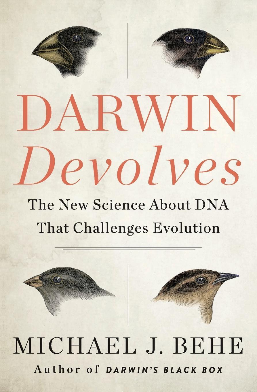 Thumbnail - Darwin Devolves | Michael J Behe | Englisch | Taschenbuch | Paperback