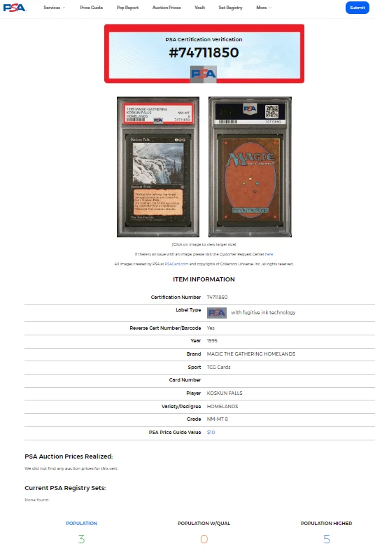 1995 Magic The Gathering Homelands Koskun Falls Rare PSA 8 Only 5 Graded Higher - Image 3 of 4