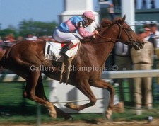 Celebrate American Pharoah's Triple Crown Win with Victor Espinoza Autographs and Memorabilia 26