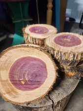 Red Cedar Live Edge Wood Tree Slice Rustic Wedding Log Cabin Decor Craft