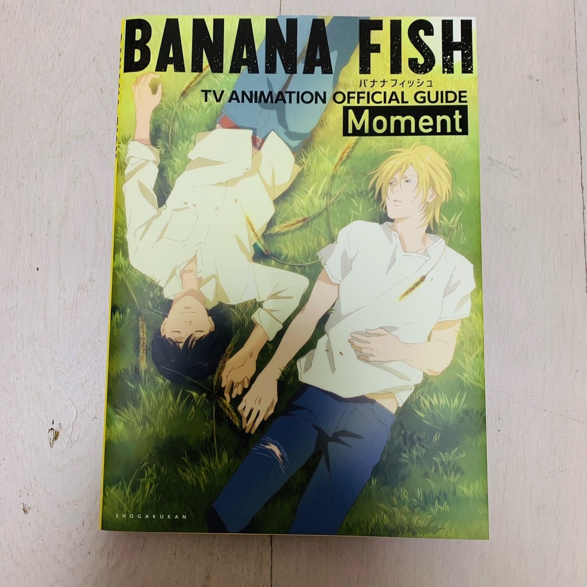 Banana Fish Official Guide Rebirth Perfect & Angel Eyes Art