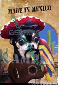 sombrero dog