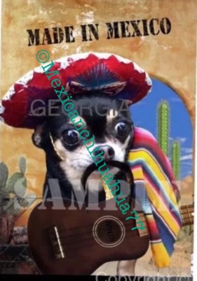 mexican chiwawa