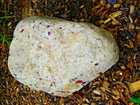 Picture 4 of 5
