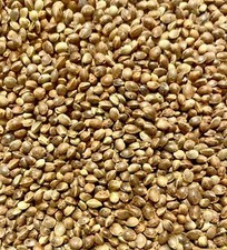 Semillas de cáñamo entero 4 libras nueces TODAS naturales envío gratuito
