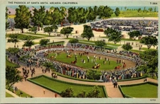 Postcard The Paddock At Santa Anita Arcadia Cal