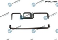 Dr.Motor Automotive DRM02847S Dichtung, SteuergehäUse FüR BMW