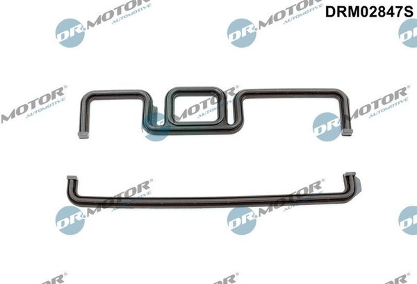 Dr.Motor Automotive DRM02847S Dichtung, SteuergehäUse FüR BMW-image