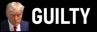 Donald Trump Guilty Sticker Mug Shot Huge Can't Miss Guilty Trial Message
