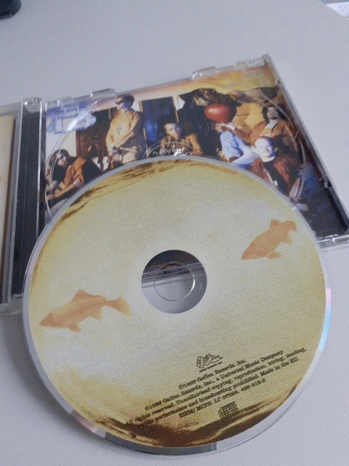 CD Counting Crows - This Desert Life - Bild 4 von 4