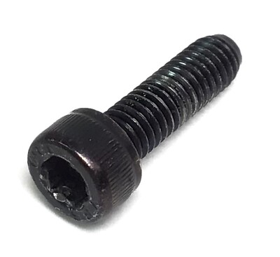 Lifespan E2i Elliptical Screw M6 -1.0 -20 mm