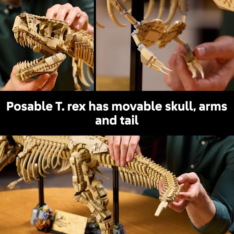 Jurassic World Dinosaur Fossils: Tyrannosaurus Rex - Building Set for Adul76968 - Image 4 of 4