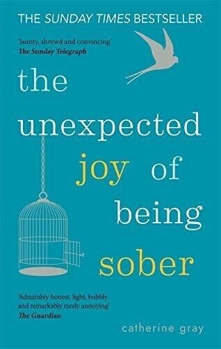 The Unexpected Joy of Being Sober: THE SUNDAY TIMES BESTSELLER - Image 2