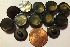 12 Pearlized Dark Olive Green Plastic Shank Buttons Almost 9/16" 13.5mm 10332