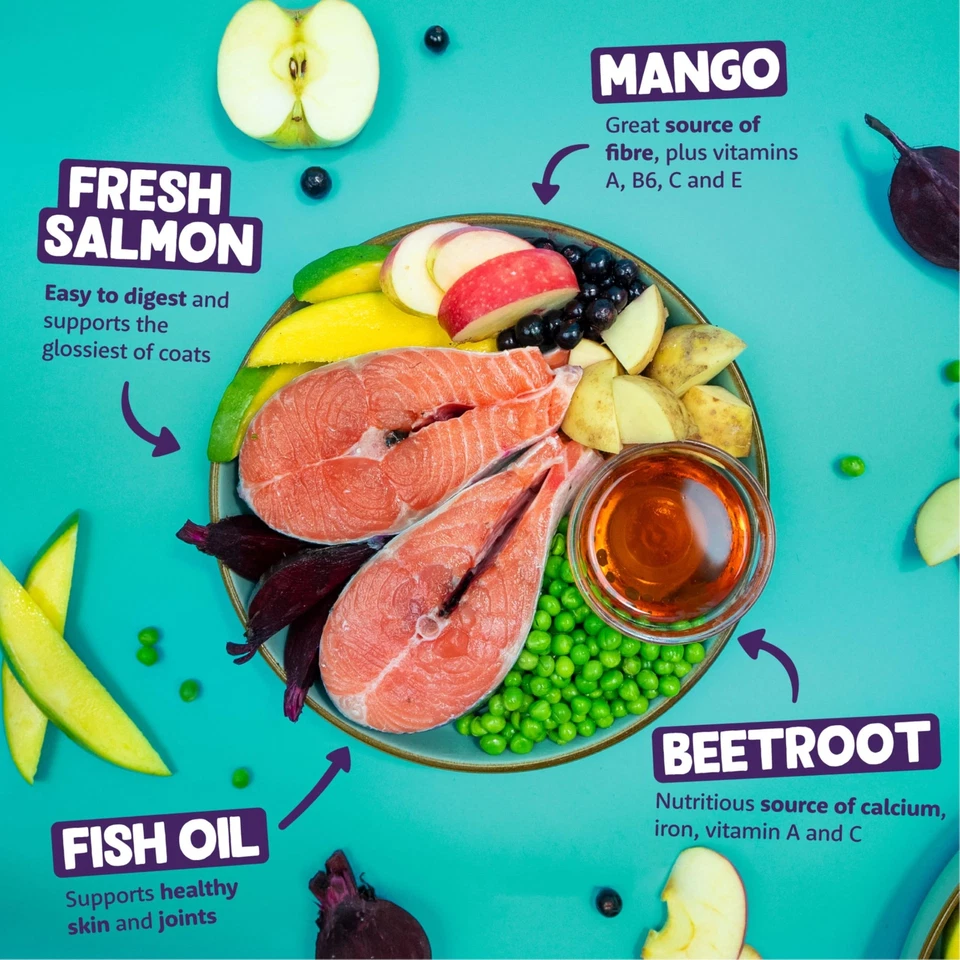 Edgard & Cooper Hundefutter Trockenfutter für Hunde Lachs 1kg Hundefutter tro... - Bild 3 von 4