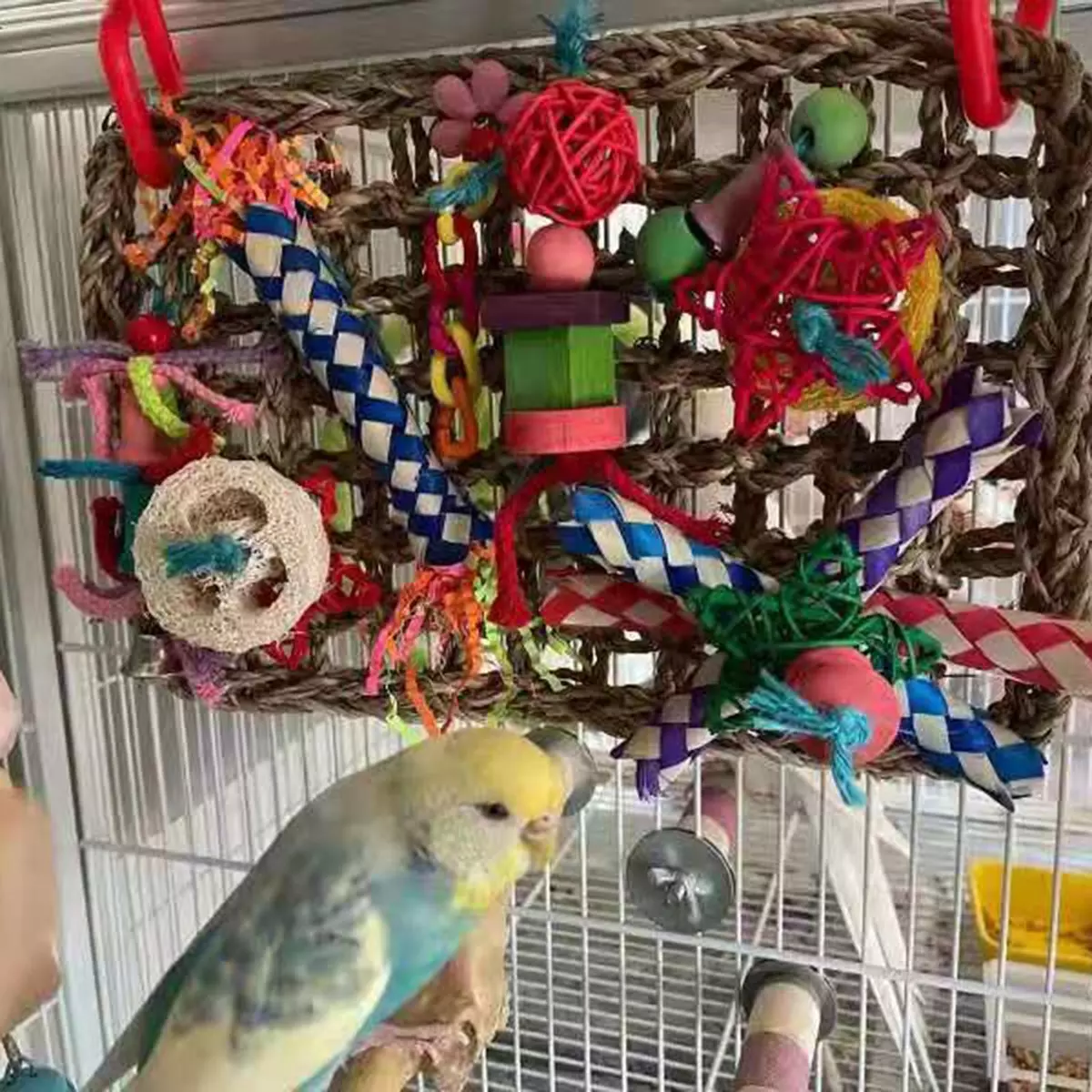 Parrots Foraging Toys Cage Accessories