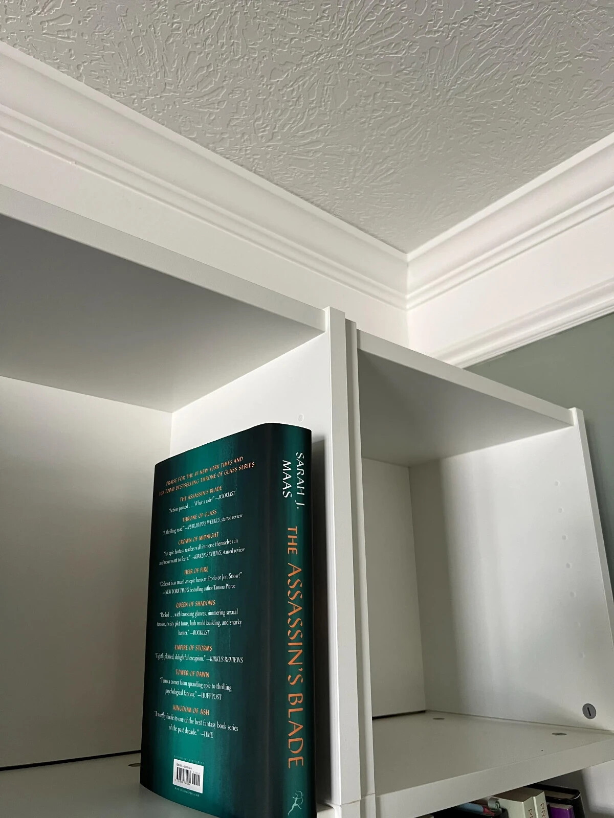Picture 3 of 19