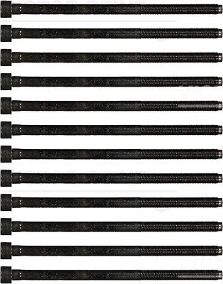 Zylinderkopfbolzen-Set Victor Reinz 14-35779-01 Alfa Romeo 7775920 (12X)-image