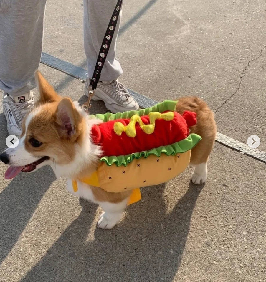 Divertido Disfraz de Perro Caliente - Traje de Mascota de Halloween para Perros Pequeños y Medianos Foto 2 de 4