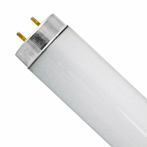 Sylvania t12 cool white deals