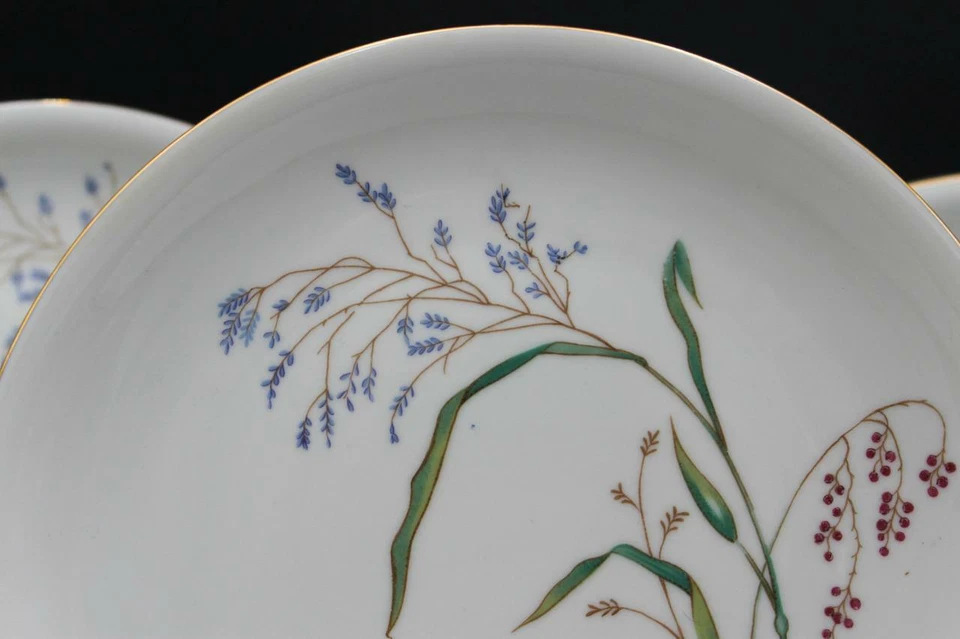 Juego de seis platos de almuerzo de porcelana alemana Eschenbach vintage W337 delicadas flores Foto 3 de 4