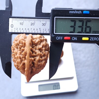 文玩核桃 原树吸血鬼官帽 32mm 官帽Chinese WenWan Walnut（Officials Hat）文玩核桃35(36