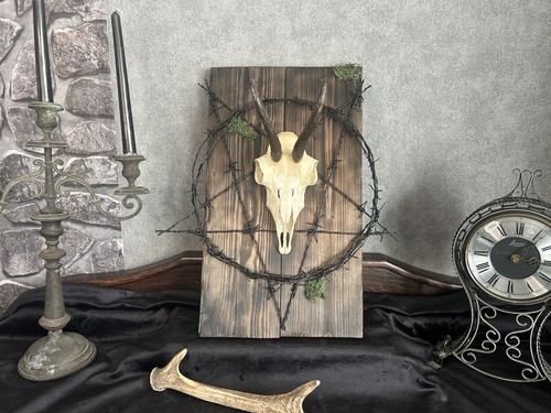 Gams Schädel Gothic Wanddeko Pentagramm Schwarz Stacheldraht Kuriosität Unikat - Bild 5 von 6