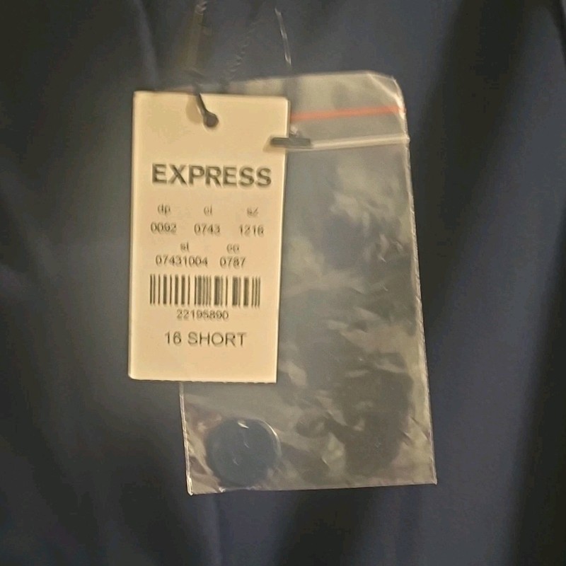 Express Blue Dress Pants Women's Regular Solid Size 16 Short