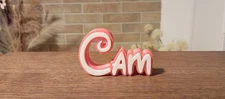 CAM PERSONALIZE DISNEY NAME PLATE SIGN CUSTOM DOOR TAG FONT WALL BEDROOM PINK