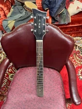 Eko Barracuda Guitar Neck Loaded